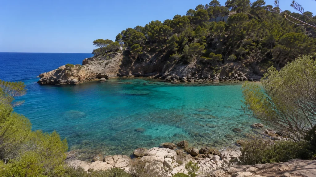 Balearic Islands guide to Cala d’en Serra Ibiza with pine cliffs and clear snorkelling water