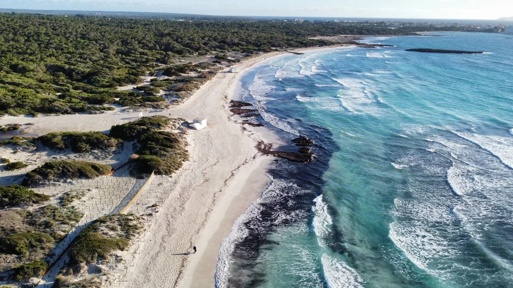 Es Trenc beach in Mallorca seen from above with white sand dunes and turquoise water