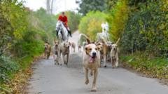Trail hunt ban moves closer as consultation begins