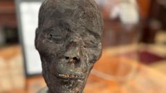 Auction house criticised over sale of 3,000-year-old mummy head
