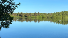 Body found after boy, 15, went missing in nature reserve lake